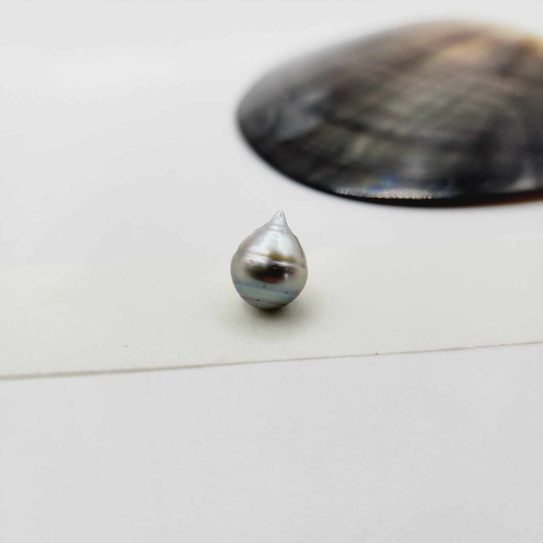 Civa Fiji Loose Saltwater Pearl - FJD$