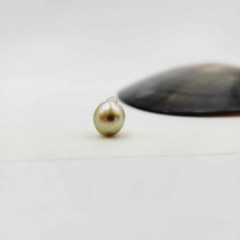Load image into Gallery viewer, Civa Fiji Loose Saltwater Pearl - FJD$
