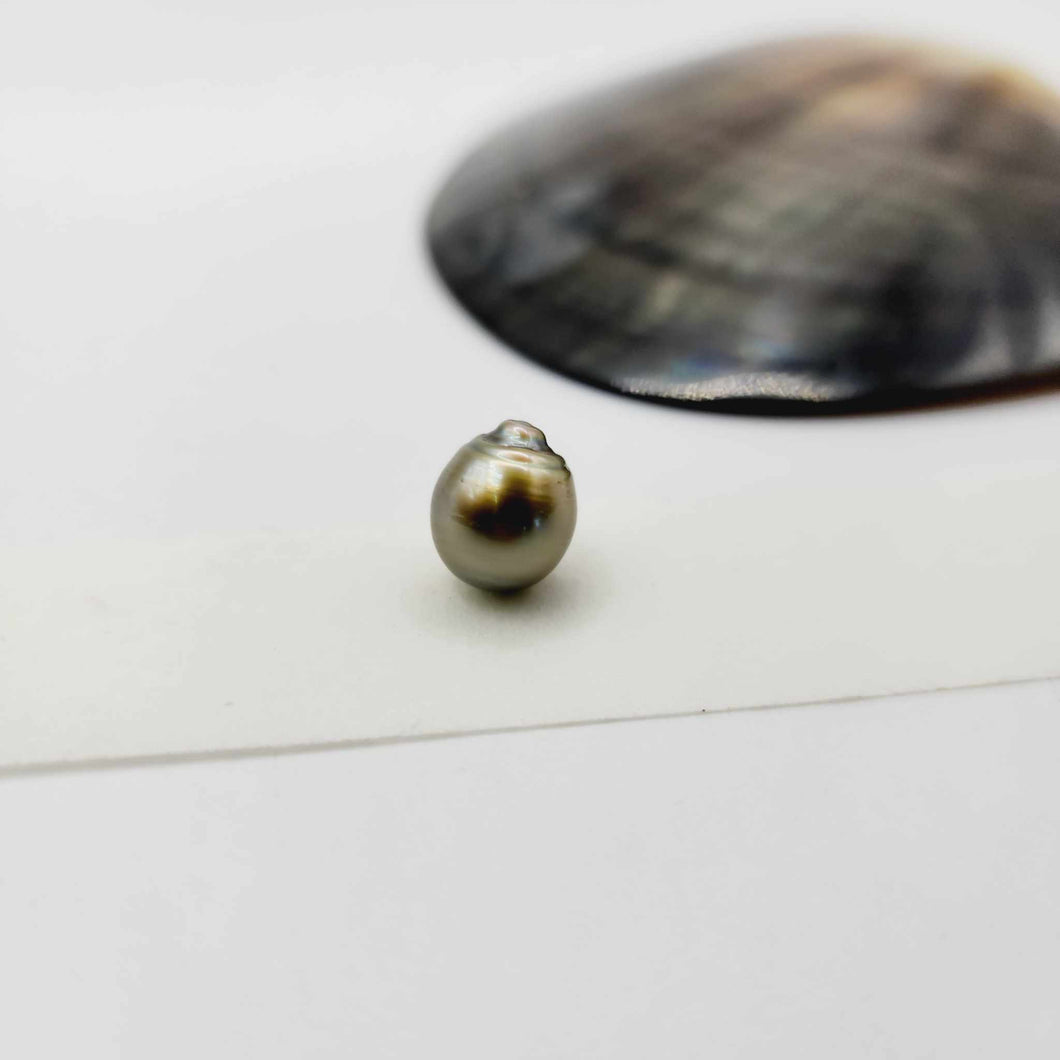 Civa Fiji Loose Saltwater Pearl - FJD$