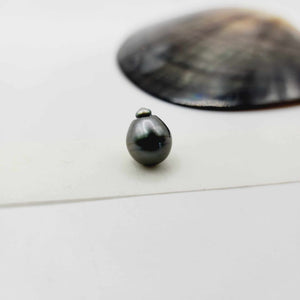 Civa Fiji Loose Saltwater Pearl - FJD$