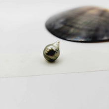 Load image into Gallery viewer, Civa Fiji Loose Saltwater Pearl - FJD$
