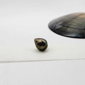 Civa Fiji Loose Saltwater Pearl - FJD$