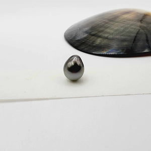 Civa Fiji Loose Saltwater Pearl - FJD$