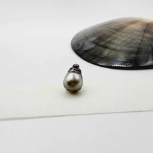 Load image into Gallery viewer, Civa Fiji Loose Saltwater Pearl - FJD$
