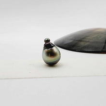 Load image into Gallery viewer, Civa Fiji Loose Saltwater Pearl - FJD$
