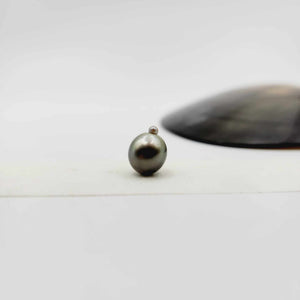 Civa Fiji Loose Saltwater Pearl - FJD$