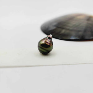 Civa Fiji Loose Saltwater Pearl - FJD$