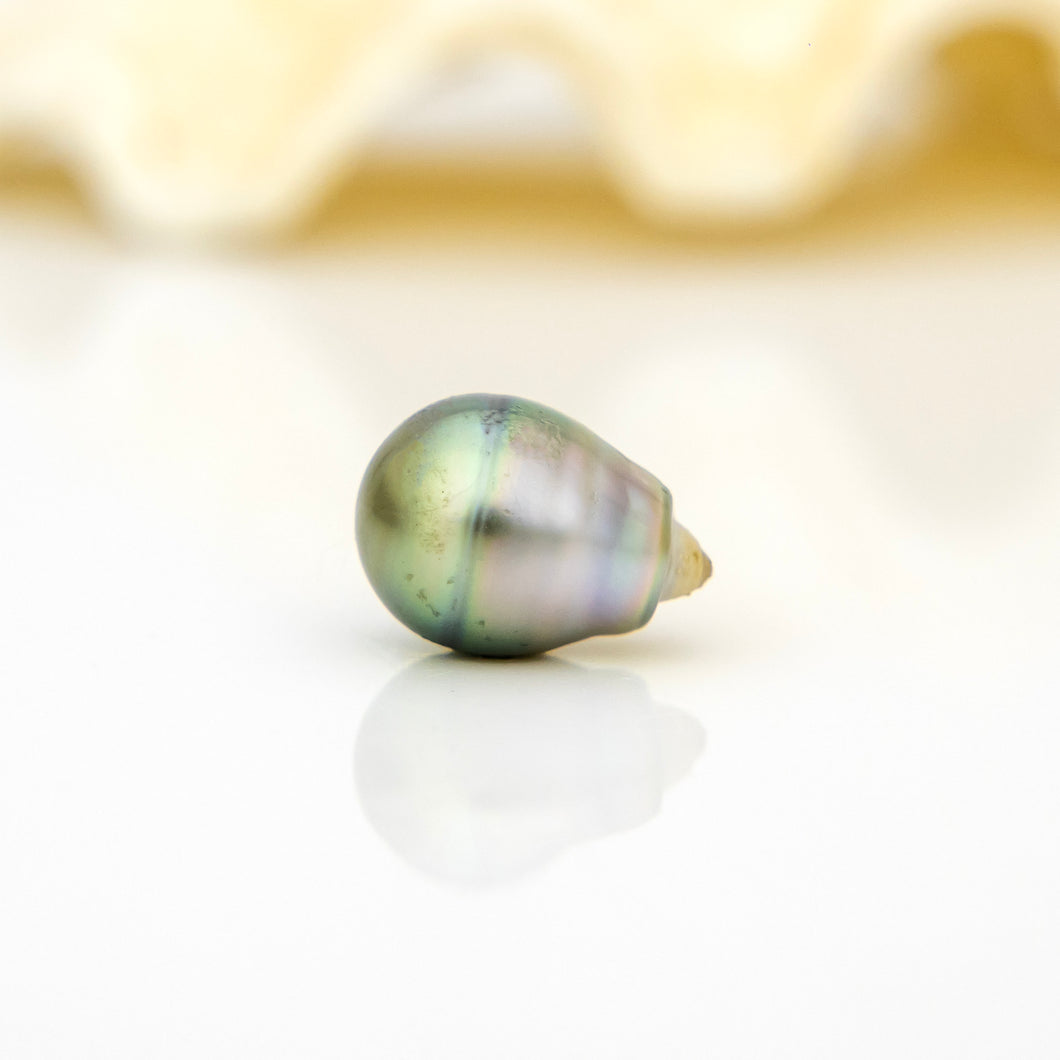 Civa Fiji Loose Saltwater Pearl - FJD$