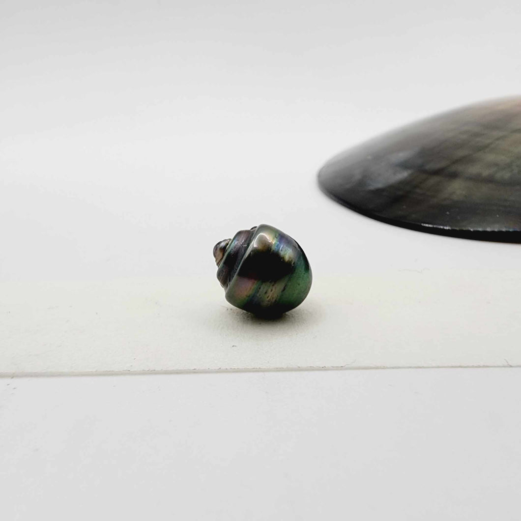 Civa Fiji Loose Saltwater Pearl - FJD$