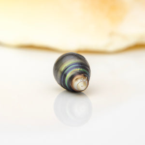 Civa Fiji Loose Saltwater Pearl - FJD$