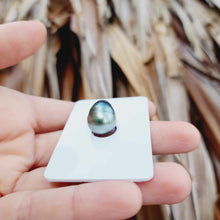 Load image into Gallery viewer, Civa Fiji Loose Saltwater Pearl - FJD$
