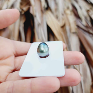 Civa Fiji Loose Saltwater Pearl - FJD$