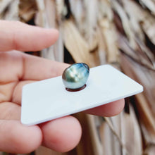 Load image into Gallery viewer, Civa Fiji Loose Saltwater Pearl - FJD$
