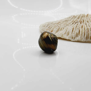 Civa Fiji Loose Saltwater Pearl - FJD$