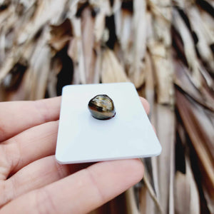 Civa Fiji Loose Saltwater Pearl - FJD$