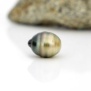 Civa Fiji Loose Saltwater Pearl - FJD$