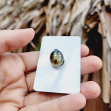 Load image into Gallery viewer, Civa Fiji Loose Saltwater Pearl - FJD$
