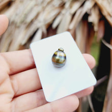 Load image into Gallery viewer, Civa Fiji Loose Saltwater Pearl - FJD$
