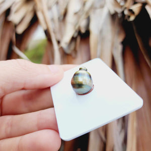Civa Fiji Loose Saltwater Pearl - FJD$