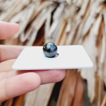 Load image into Gallery viewer, Civa Fiji Loose Saltwater Pearl - FJD$
