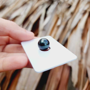 Civa Fiji Loose Saltwater Pearl - FJD$