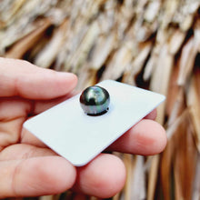 Load image into Gallery viewer, Civa Fiji Loose Saltwater Pearl - FJD$

