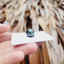 Load image into Gallery viewer, Civa Fiji Loose Saltwater Pearl - FJD$
