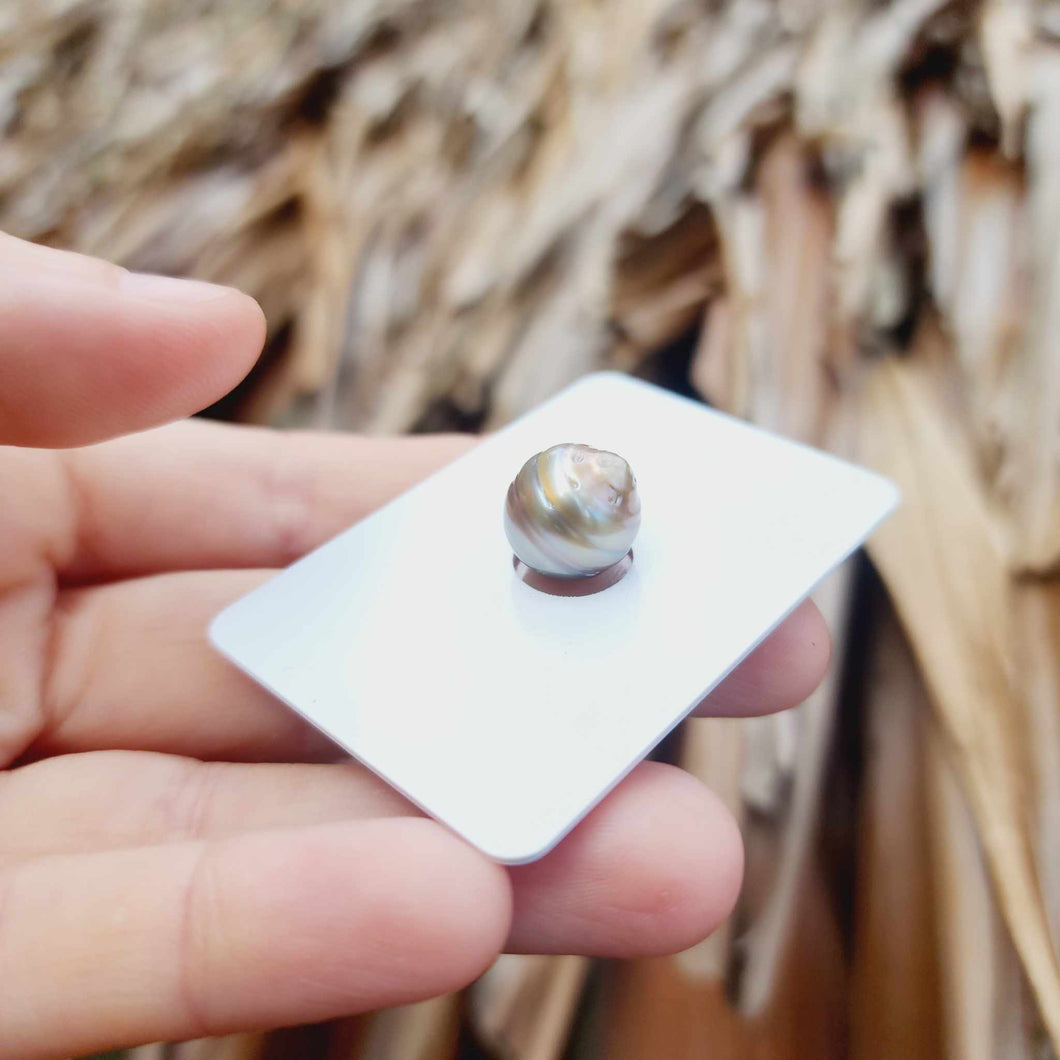 Civa Fiji Loose Saltwater Pearl - FJD$