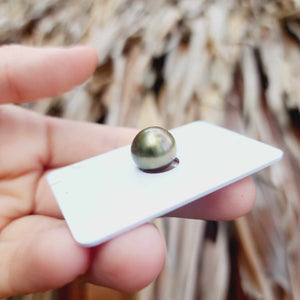 Civa Fiji Loose Saltwater Pearl - FJD$