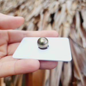 Civa Fiji Loose Saltwater Pearl - FJD$