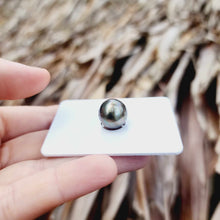 Load image into Gallery viewer, Civa Fiji Loose Saltwater Pearl - FJD$
