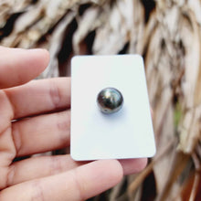 Load image into Gallery viewer, Civa Fiji Loose Saltwater Pearl - FJD$
