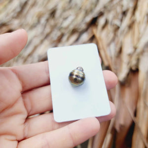 Civa Fiji Loose Saltwater Pearl - FJD$