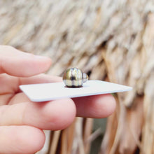 Load image into Gallery viewer, Civa Fiji Loose Saltwater Pearl - FJD$
