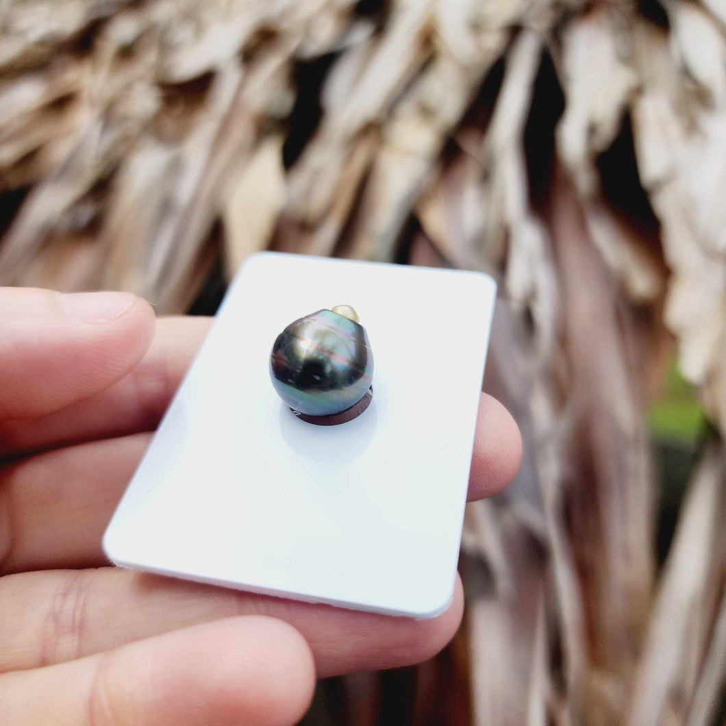 Civa Fiji Loose Saltwater Pearl - FJD$