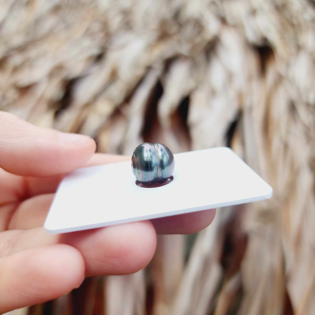 Civa Fiji Loose Saltwater Pearl - FJD$