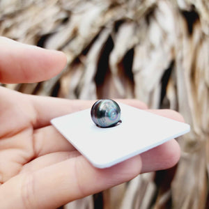 Civa Fiji Loose Saltwater Pearl - FJD$