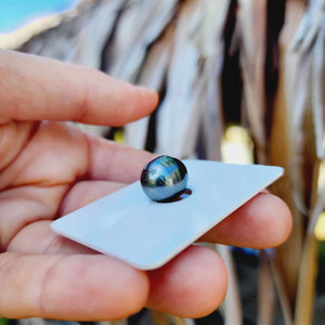 Civa Fiji Loose Saltwater Pearl - FJD$