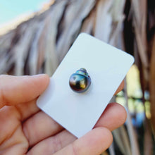 Load image into Gallery viewer, Civa Fiji Loose Saltwater Pearl - FJD$
