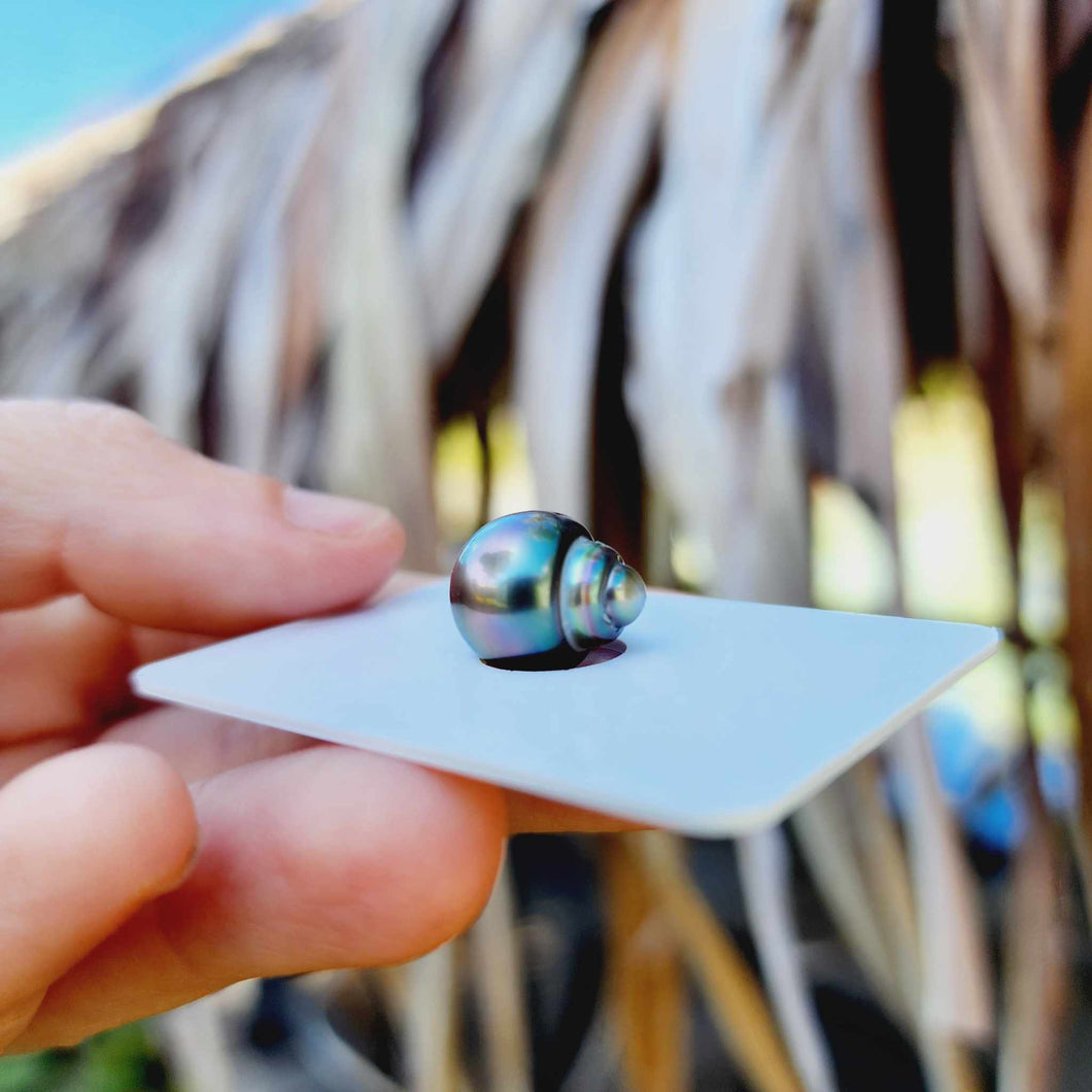 Civa Fiji Loose Saltwater Pearl - FJD$