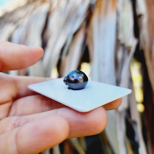 Civa Fiji Loose Saltwater Pearl - FJD$