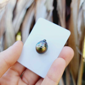 Civa Fiji Loose Saltwater Pearl - FJD$