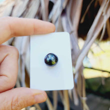 Load image into Gallery viewer, Civa Fiji Loose Saltwater Pearl - FJD$
