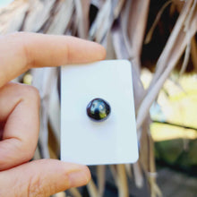 Load image into Gallery viewer, Civa Fiji Loose Saltwater Pearl - FJD$
