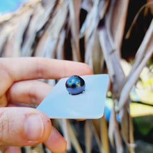 Load image into Gallery viewer, Civa Fiji Loose Saltwater Pearl - FJD$
