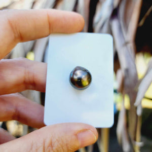 Civa Fiji Loose Saltwater Pearl - FJD$