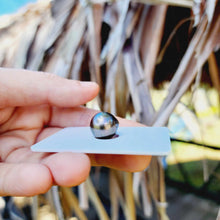 Load image into Gallery viewer, Civa Fiji Loose Saltwater Pearl - FJD$
