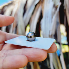 Load image into Gallery viewer, Civa Fiji Loose Saltwater Pearl - FJD$
