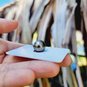Civa Fiji Loose Saltwater Pearl - FJD$