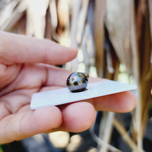 Load image into Gallery viewer, Civa Fiji Loose Saltwater Pearl - FJD$
